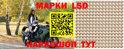 ешки Краснодар