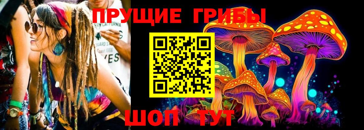 Галлюциногенные грибы GOLDEN TEACHER Курганинск