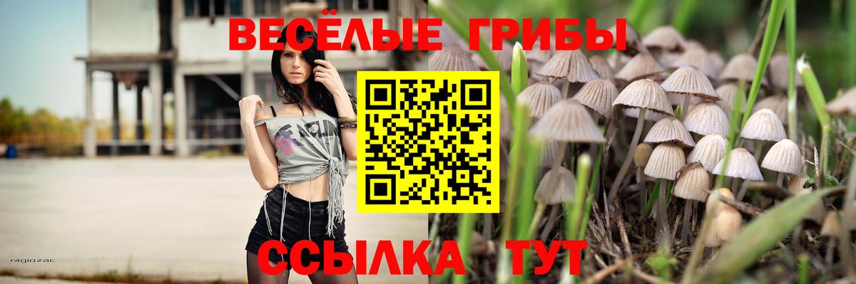 Галлюциногенные грибы мицелий  Галлюциногенные грибы ЛСД  Курганинск  Вход с VPN 